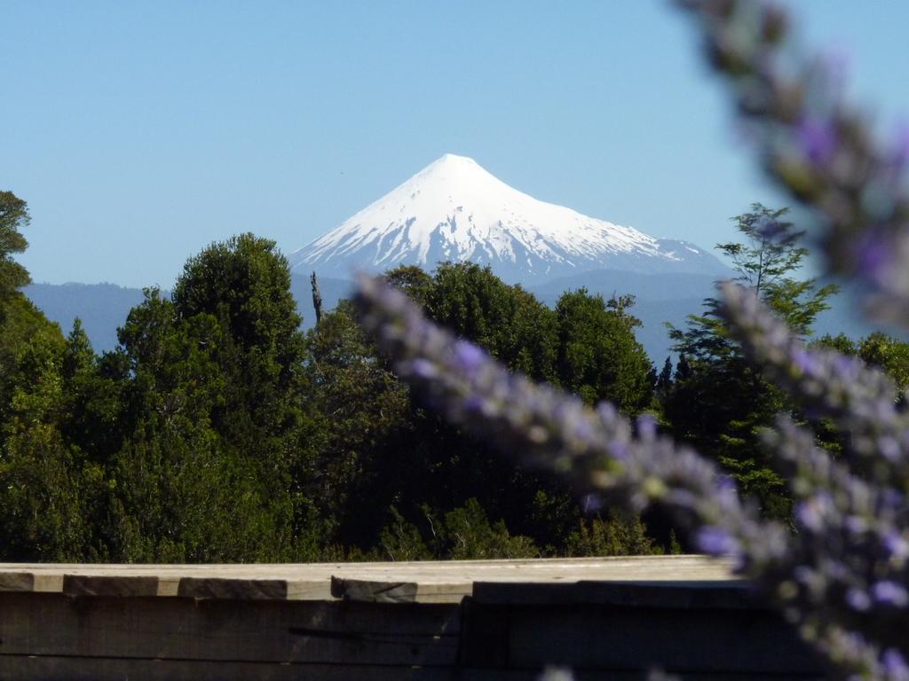 Lodge El Taique Puyehue Exterior foto